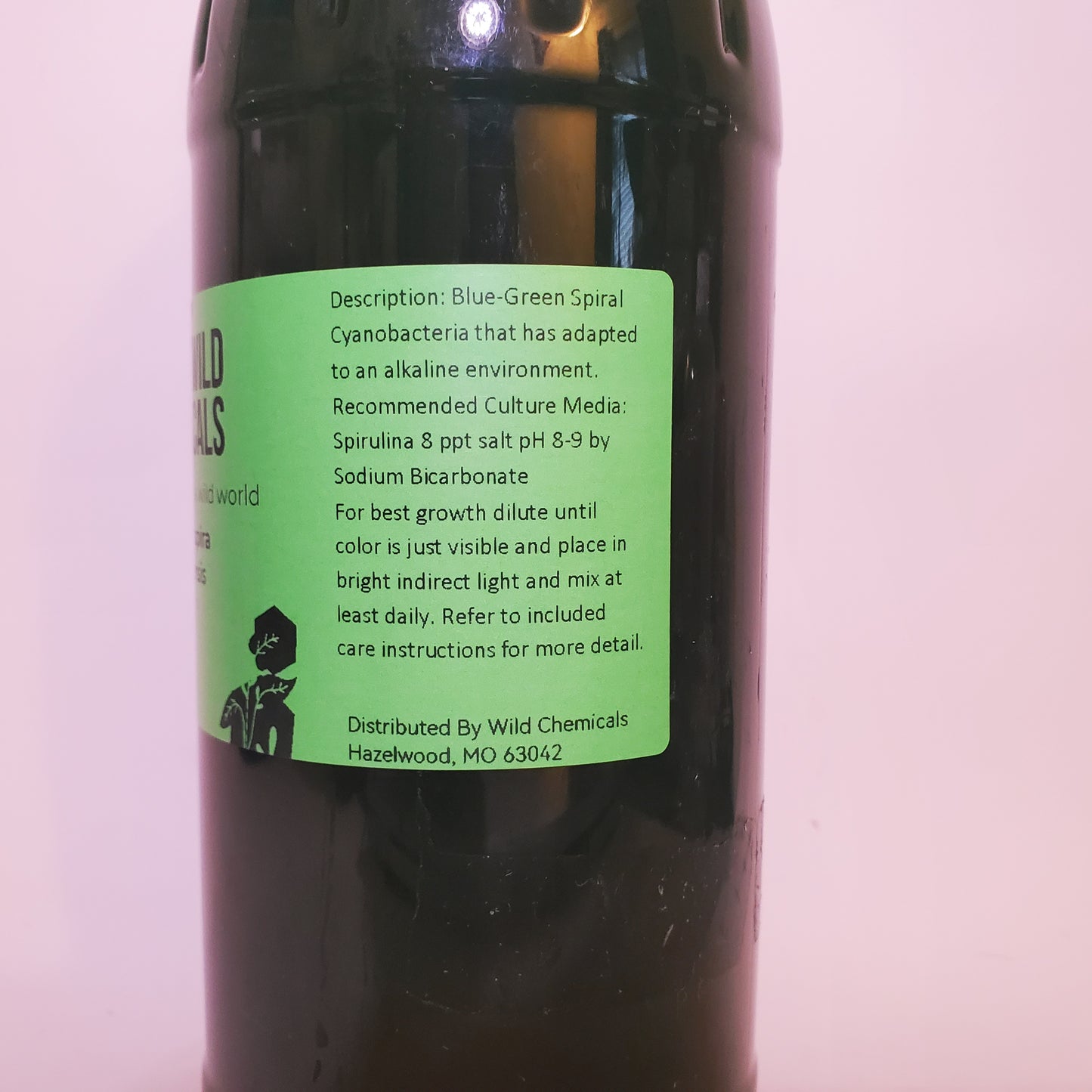 Spirulina Live Phytoplankton - Great for Feed or Science Projects!