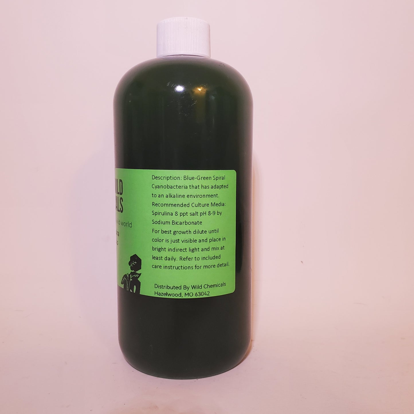 Spirulina Live Phytoplankton - Great for Feed or Science Projects!