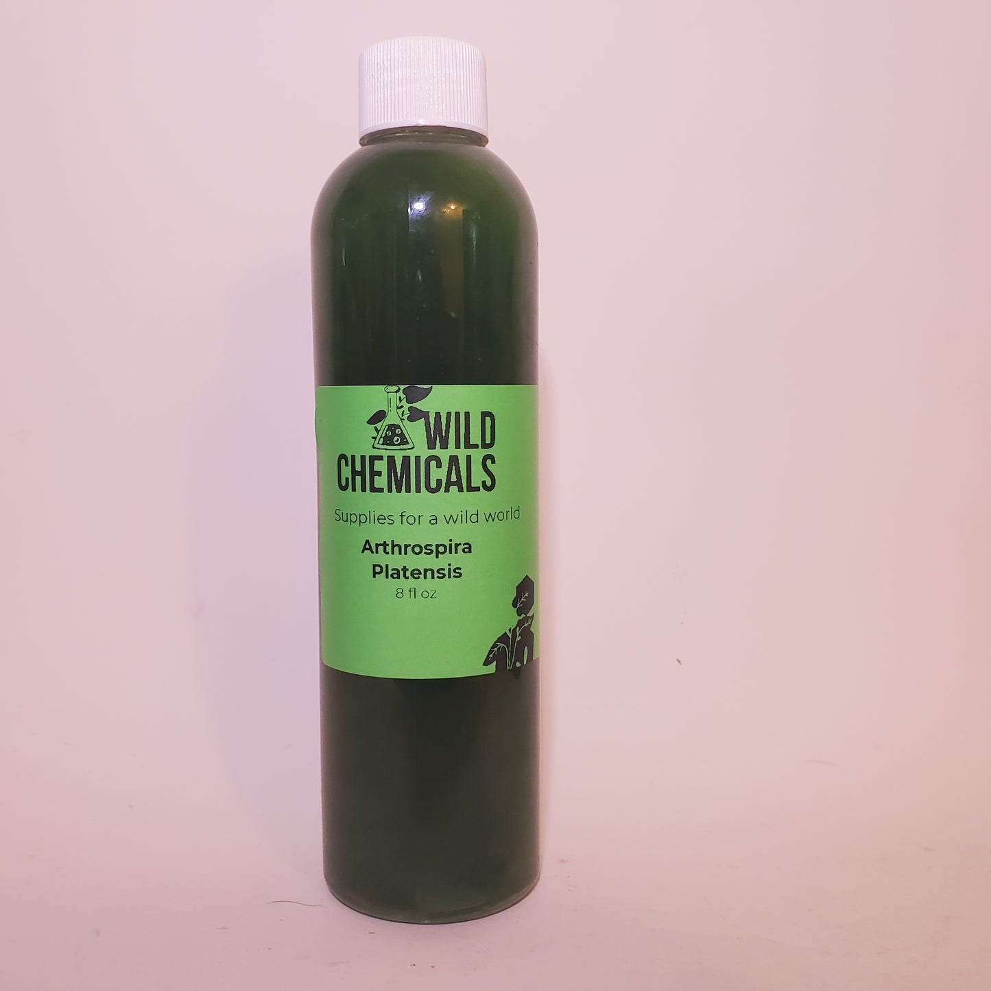 Spirulina Live Phytoplankton - Great for Feed or Science Projects!