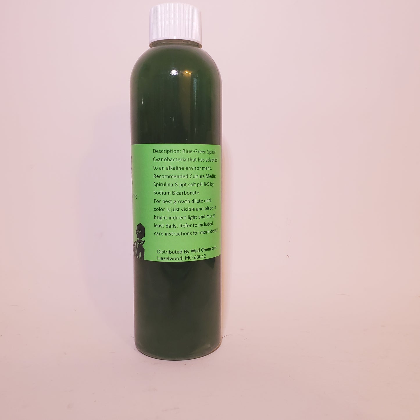 Spirulina Live Phytoplankton - Great for Feed or Science Projects!