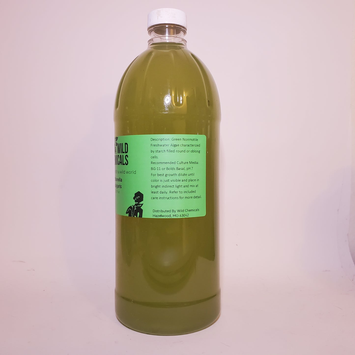 Chlorella Vulgaris Live Phytoplankton - Great for Feed or Science Projects!