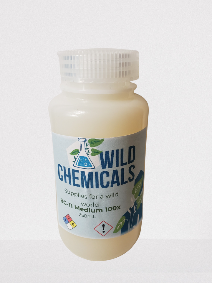 BG-11 Algae Culture Medium Concentrate- Great for Feed or Science Projects!